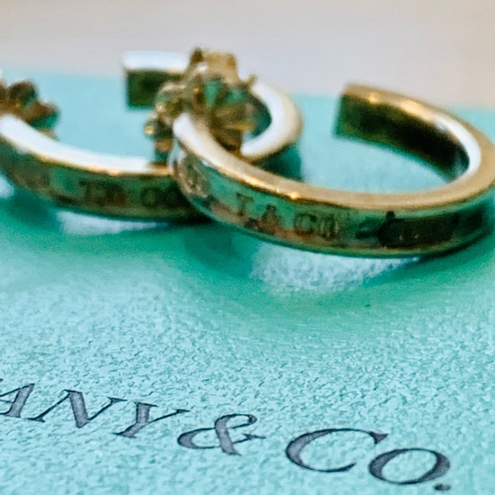 Tiffany Earrings 💙